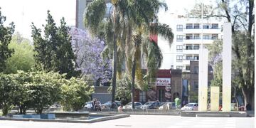 La plaza Alberdi, la primera con cambios en seguridad eléctrica\u002E