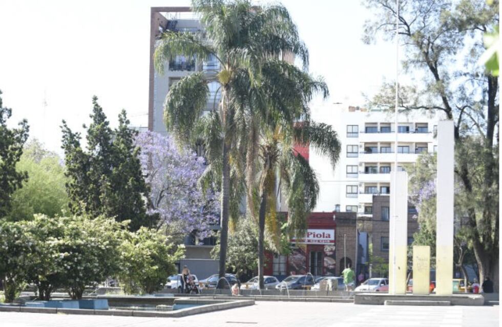 El vecino que tiró su basura en la plaza Alberdi, escribió una carta