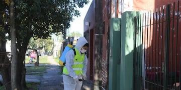 Los casos de coronavirus  (Municipalidad de La Plata)