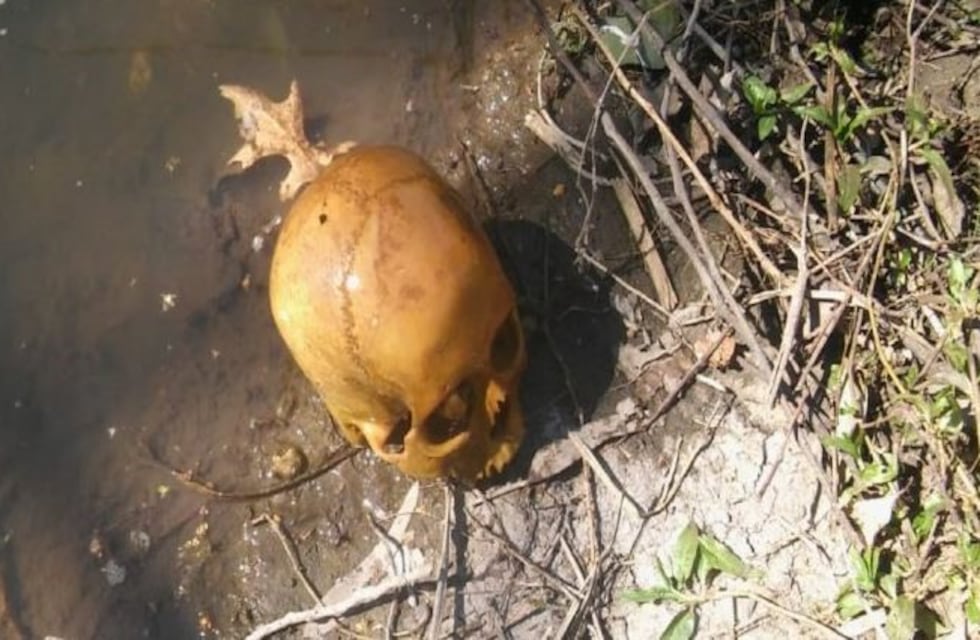 Una mujer halló un cráneo en el arroyo La Tapera