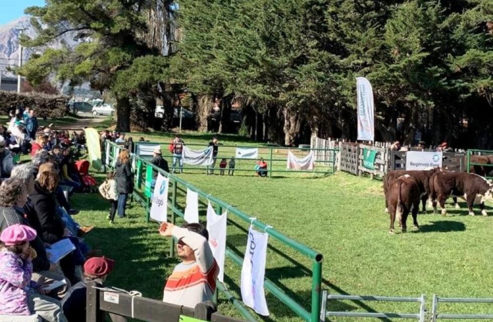 El Gobierno de la Provincia acompañó a una nueva Exposición Bovina en Esquel.