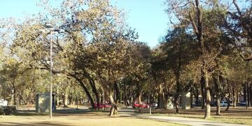 El supuesto fantasma del Parque Avellaneda\u002E (Web)