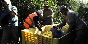 Inspeccionaron a casi 400 trabajadores y detectaron irregularidades\u002E (Web)