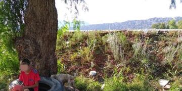 Dramática situación de una mamá sanjuanina\u002E