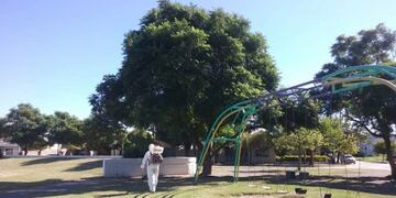 Fumigaciones en Arroyito por el dengue