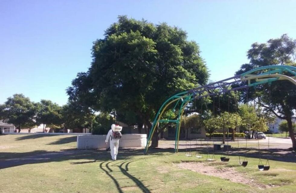 Arroyito: continúan las fumigaciones para evitar la propagación del dengue
