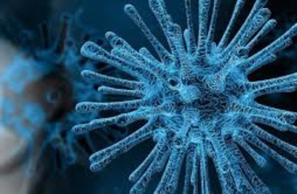 Coronavirus: Se registraron 3 nuevos casos en Tierra del Fuego