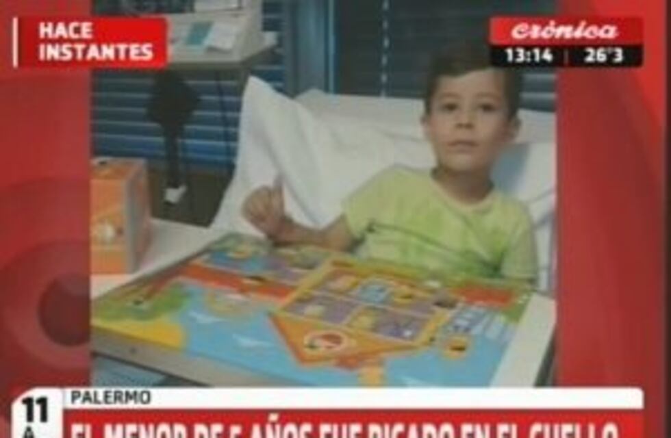 Le dieron el alta al chico picado por un alacrán en Palermo