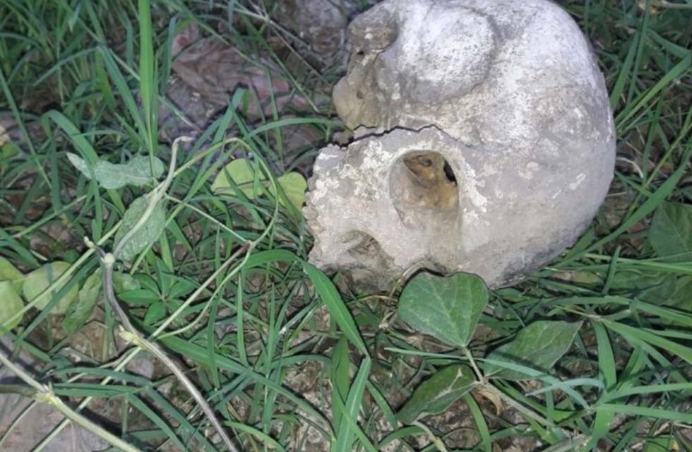 Estaban cazando y encontraron un cráneo humano