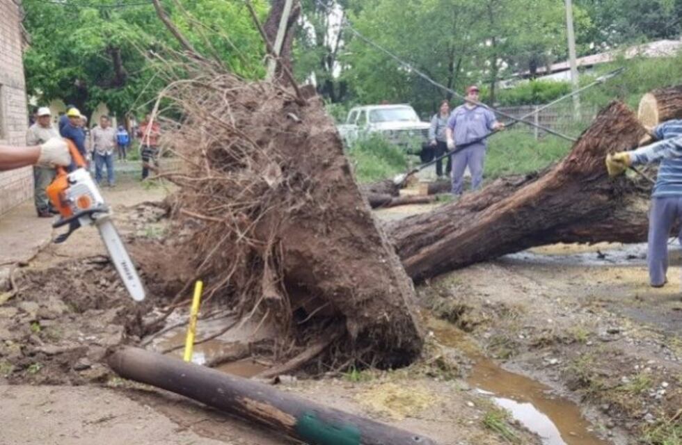 El sur mendocino castigado por granizo y destrozos