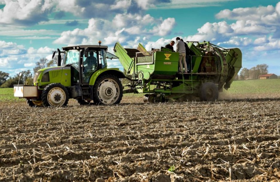 El campo, la apuesta oficial para salir de la recesión en 2019