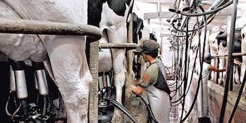 Desde la Mesa de Productores Lecheros dijeron que \