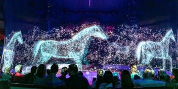 Circo Roncalli (Web)