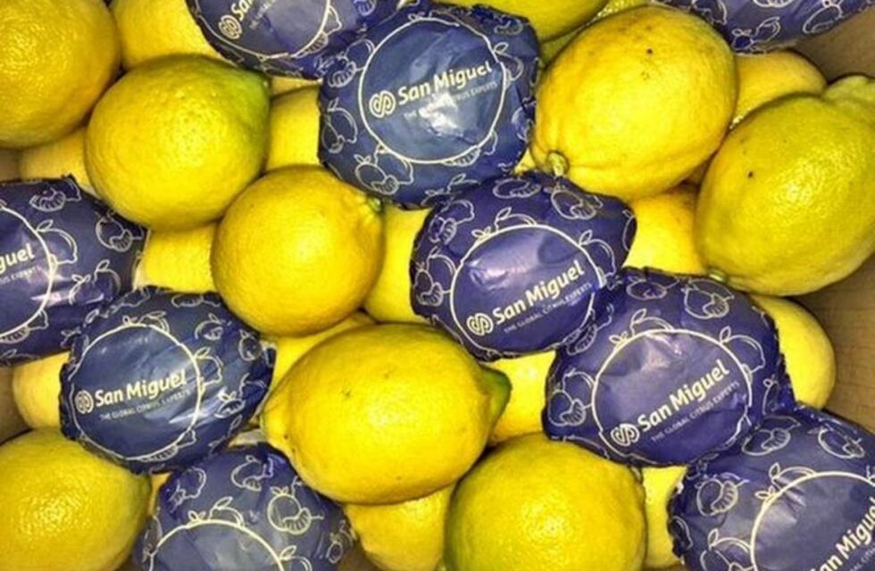 Llegó el primer cargamento de limones argentinos a la India
