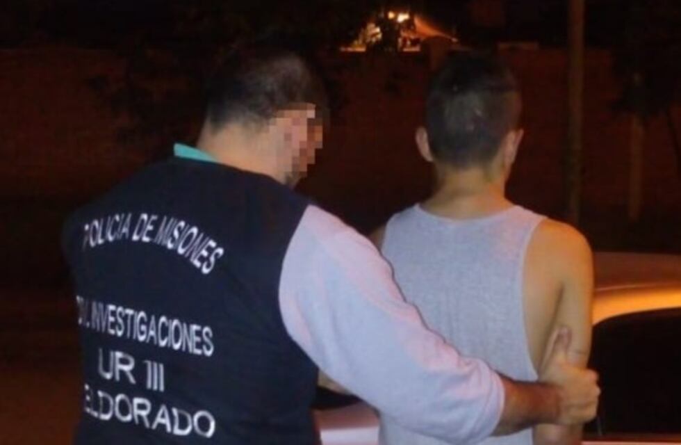 Robaron una computadora de un estudio jurídico y fueron apresados