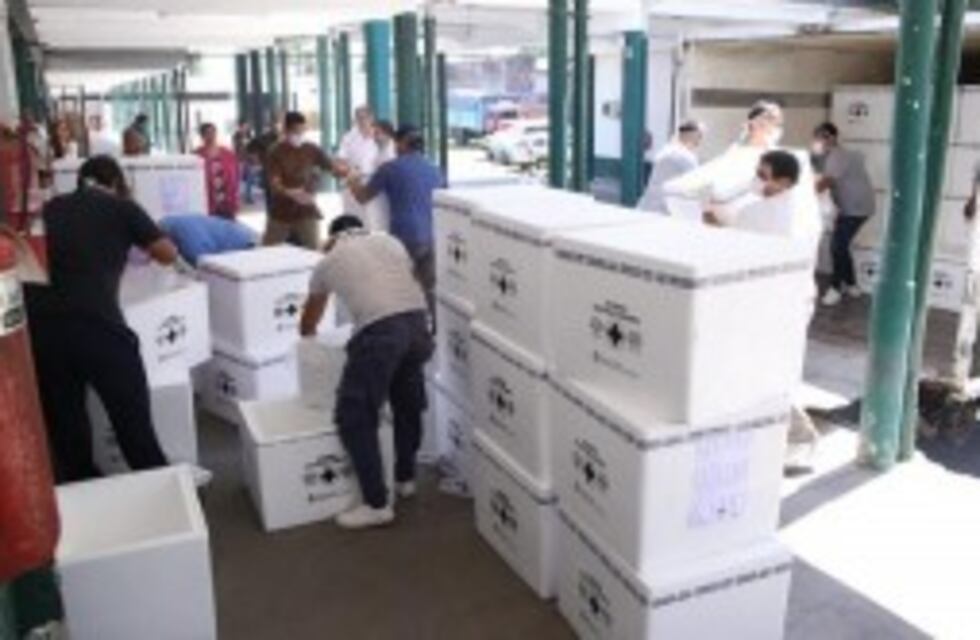 El Ministerio de Salud provincial recibió más de 100 mil dosis antigripales