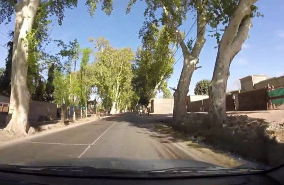 Millonaria condena a Guaymallén porque un árbol cayó sobre un hombre y lo mató