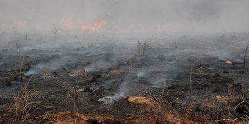 Los incendios forestales son un drama en las sierras cordobesas.