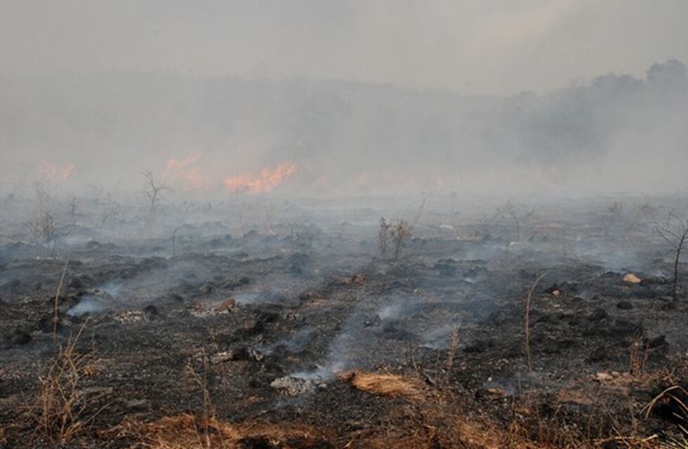 Crean un sistema satelital de alerta contra incendios forestales en Córdoba