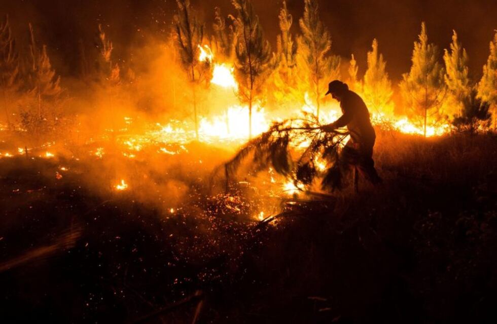 Incendios forestales arrasaron con 53.000 hectáreas en Chile y sospechan de los mapuches