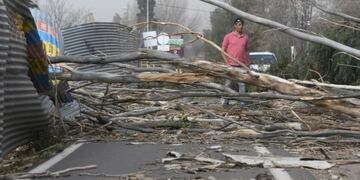 Un muerto y serios daños dejó el Zonda más arrasador de los últimos años