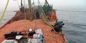 Hubo un leve crecimiento en los desembarques portuarios en Mar del Plata