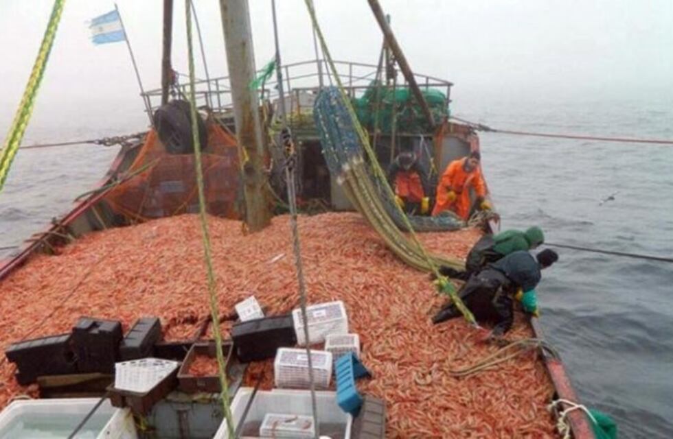 Hubo un leve crecimiento en los desembarques portuarios en Mar del Plata