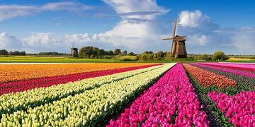 Holanda cambiará su nombre en 2020\u002E