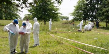 Luis Fondebrider, director ejecutivo y fundador del Equipo Argentino de Antropología Forense (Foto: Clarín)