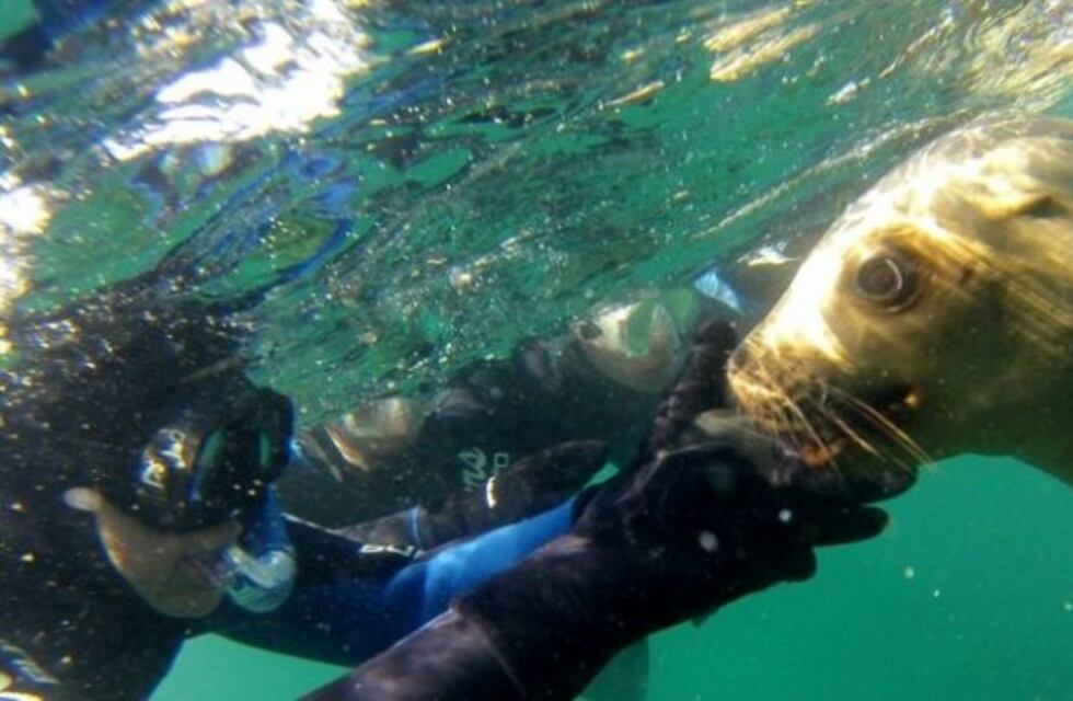 Chubut expondrá su oferta de turismo accesible