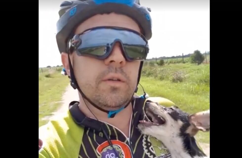 Video conmovedor: el rescate por parte de un ciclista de una perrita abandonada