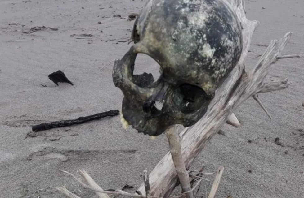 Encontraron un cráneo humano a orillas del Río Dulce