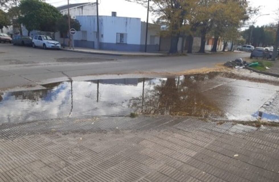 Punta Alta: "Hace más de un mes que está la basura"