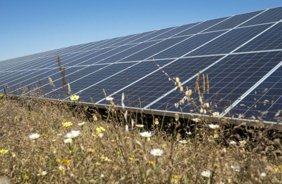 Instalarán cuatro torres de cargadores solares en la UNCuyo