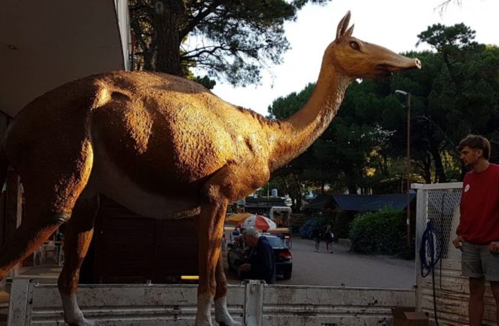 Ya está en Pehuen Co la macrauchenia que habitará el Parque de Mega Fauna