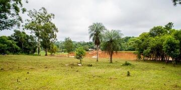 Eldorado cuenta en la actualidad con cuatro pulmones verdes\u002E