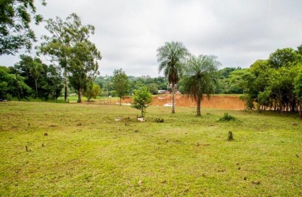 La municipalidad de Eldorado realiza tareas de mantenimiento en 160 espacios verdes