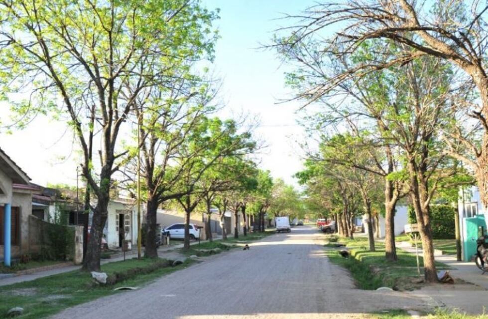 Otra denuncia por un perro presuntamente despellejado indigna a vecinos de San Francisco