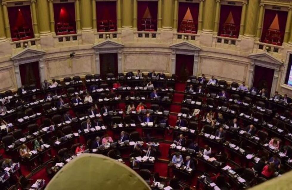 Hay 11 proyectos para cambiar la ley que condena el maltrato animal