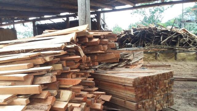 Ecología clausuró una planta y secuestró un camión con madera nativa\u002E