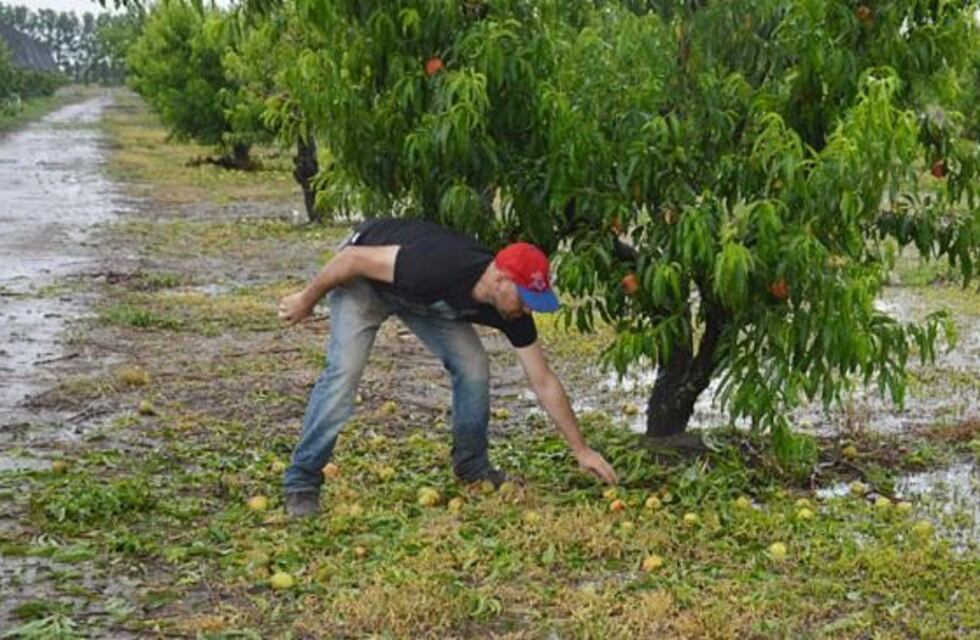 Temporal castigó cultivos y afectó varias localidades