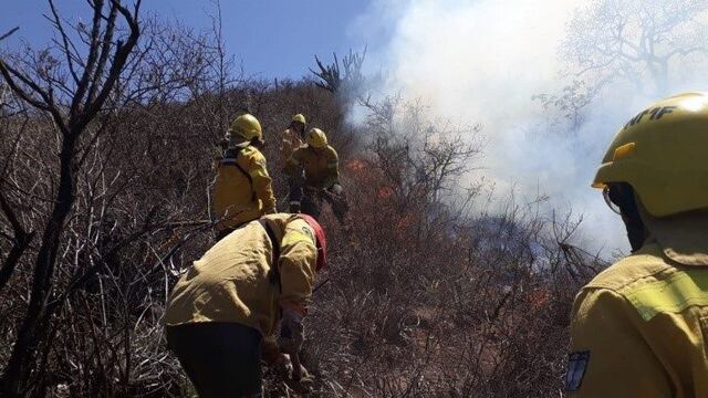 Los Brigadistas que combaten el fuego en la zona de Bariloche denunciaron que reciben para comer pollo frito (imagen ilustrativa).