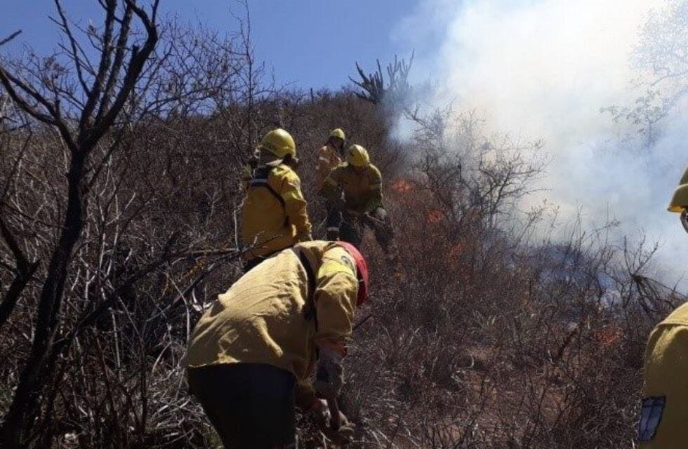 Brigadistas combaten el incendio en El Gracián