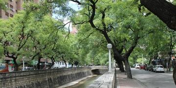 Se termina mayo, con buen clima. Y así comenzará junio (La Voz).
