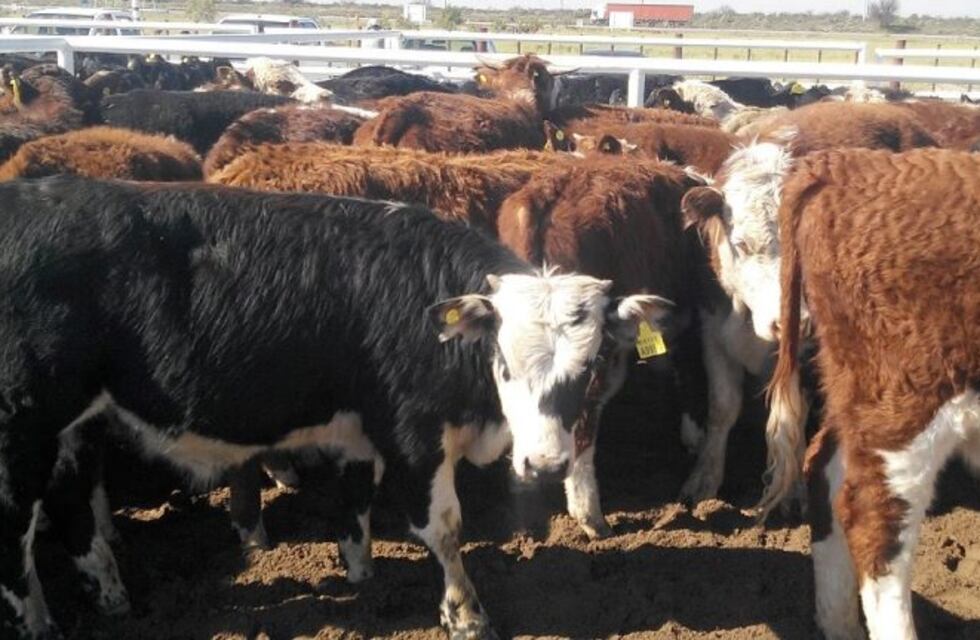 UIER: "La pandemia impactó en todos los sectores industriales de Entre Ríos"