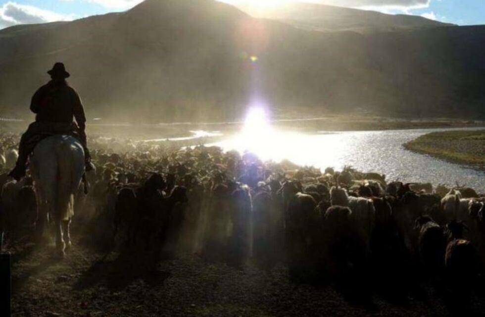 Según estudio, uno de cada tres habitantes de Río Grande corre riesgo cardiovascular