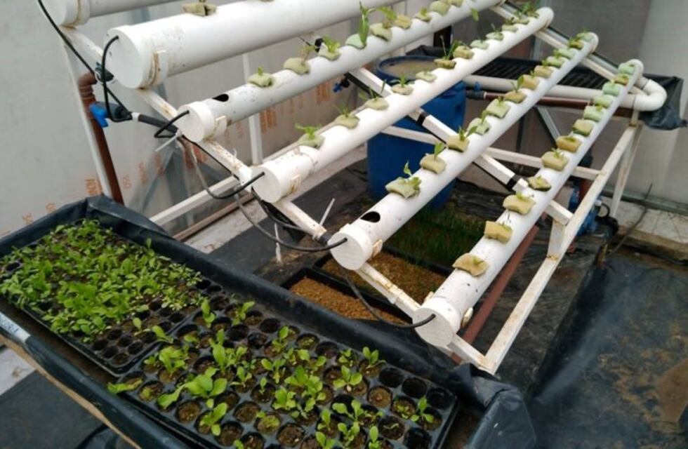 El INTA dictará en Río Grande capacitaciones sobre innovaciones en huertas