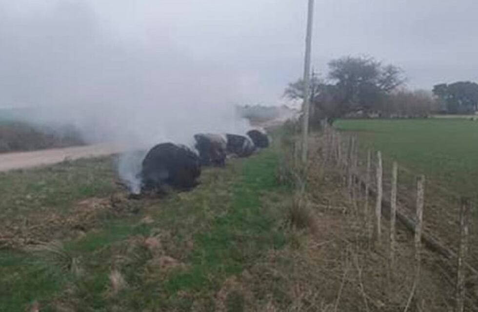 A la rotura de silobolsas se suma ahora la quema de rollos de pasto en campos entrerrianos