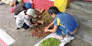 12 de Junio: Dia Mundial contra el Trabajo Infantil