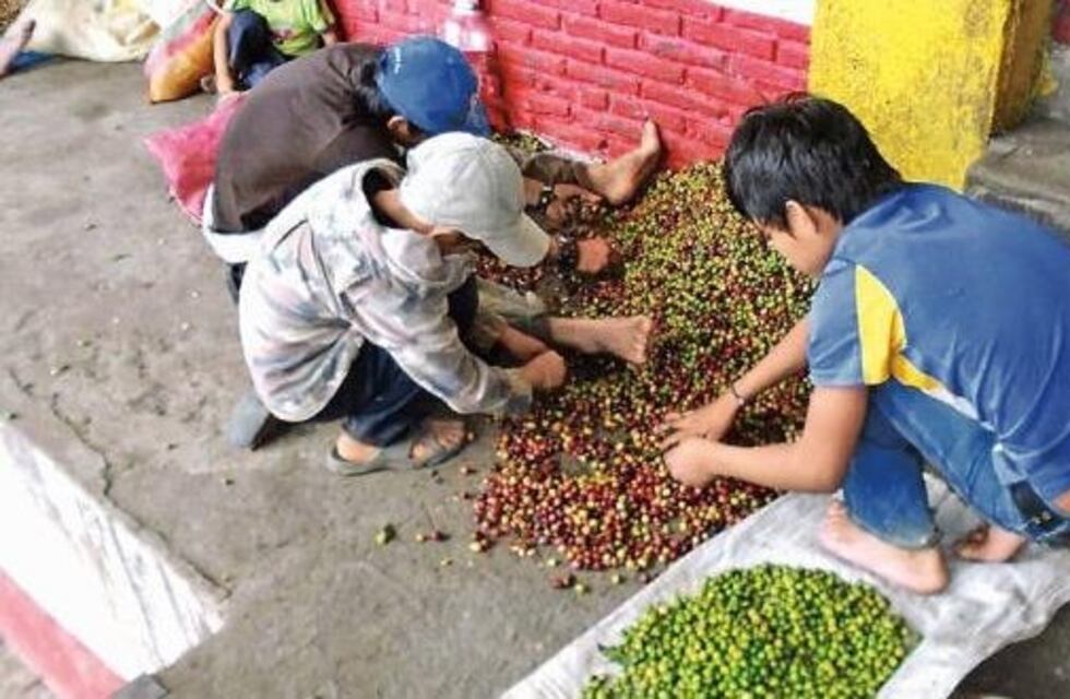 La Comisión Municipal de Prevención y Erradicación del Trabajo Infantil fue creada en Posadas